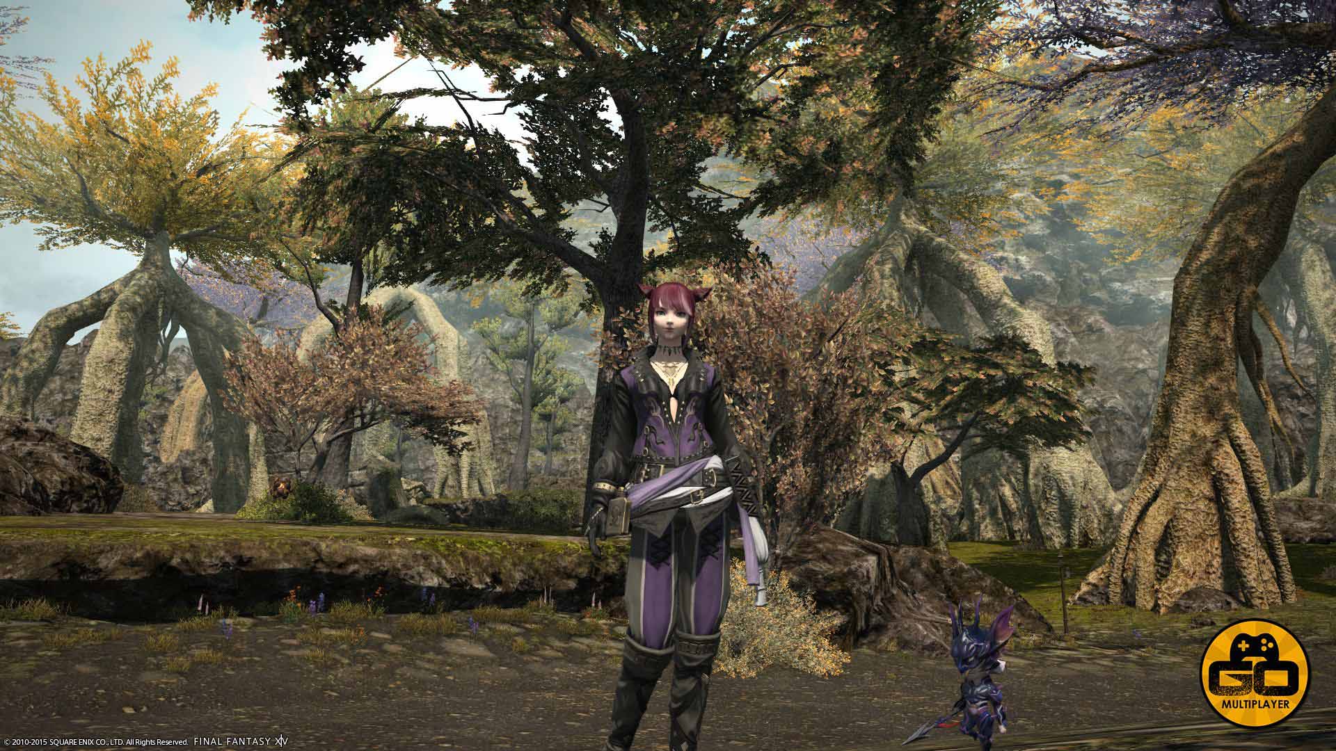 Final Fantasy XIV Heavensward Ed Coleccionista 16